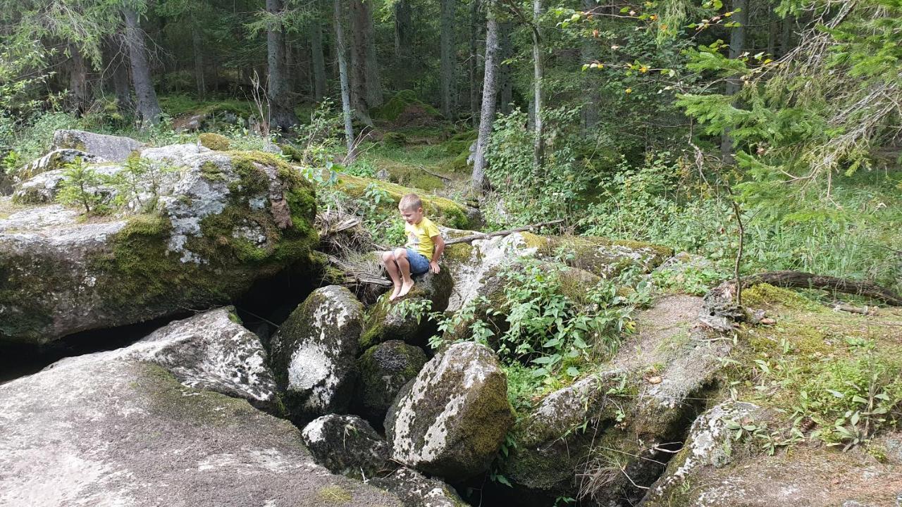 Ferienhaus Buxbaum Arbesbach Bagian luar foto