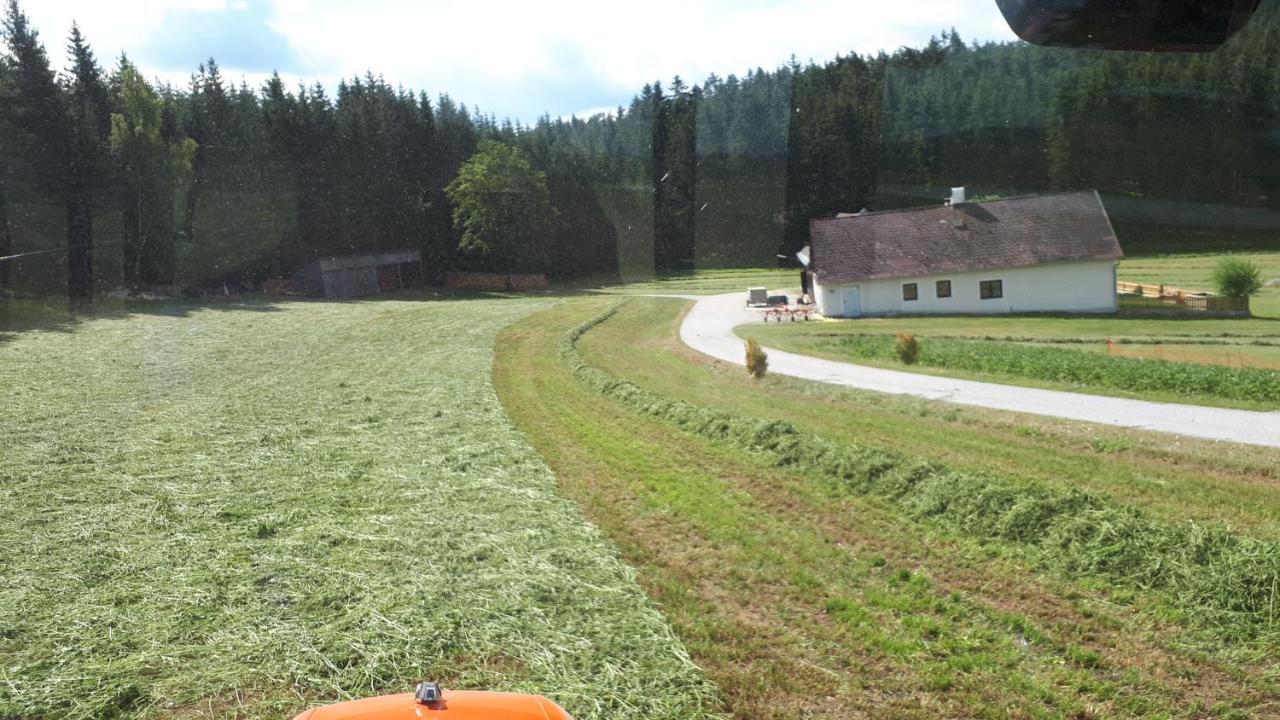 Ferienhaus Buxbaum Arbesbach Bagian luar foto